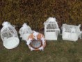 /album/fotogalerie-klece/a20170312-155647-jpg/